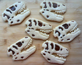 Tyrannosaurus Fossil/T-Rex Cookie Cutter/Dishwasher Safe