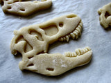 Tyrannosaurus Fossil Cookie Cutter
